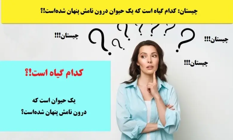 چیستان روز | کدام گیاه است که یک حیوان درون نامش پنهان شده‌است!؟
