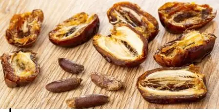 تمام عمر به اشتباه هسته خرما را دور ریختیم | درمان تمام امراض بدن با هسته خرما