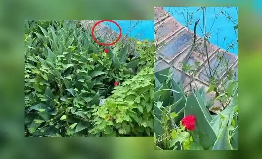 بازی فکری