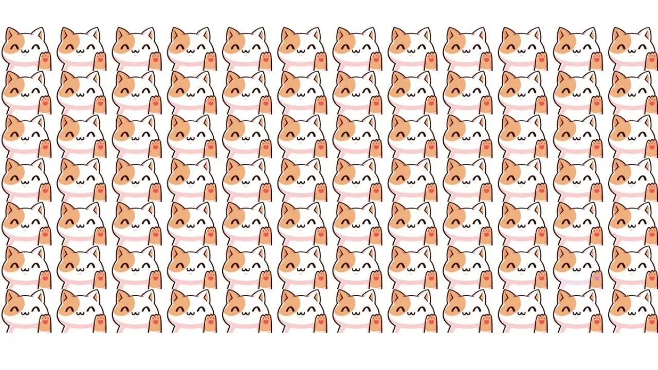 بازی فکری: فقط ۱٪ از مردم می‌توانند گربه پنهان را در ۹ ثانیه پیدا کنند!