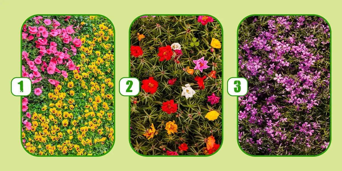 تست شخصیت شناسی | یک گل لنتخاب کن تا بگم آینده ی روشنی در پیش داری یا نه؟