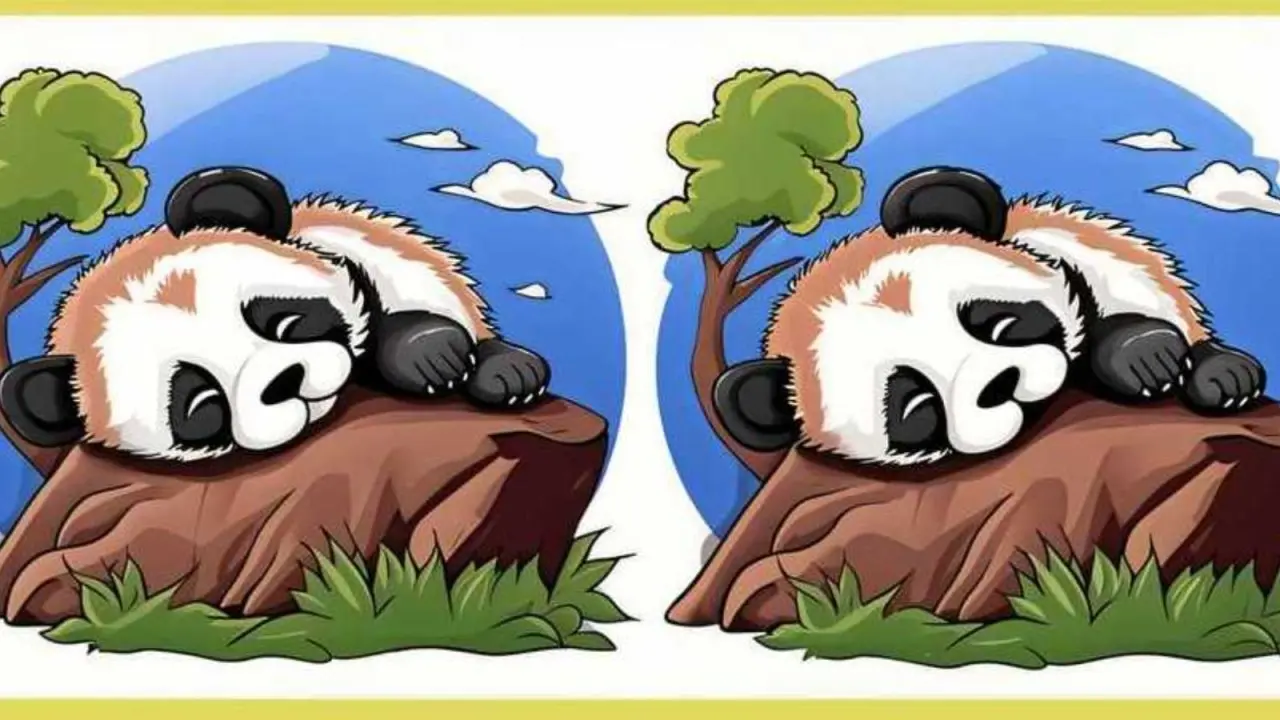 بازی فکری : نابغه‌های واقعی ۳ تفاوت را در ۱۲ ثانیه پیدا می کنند!