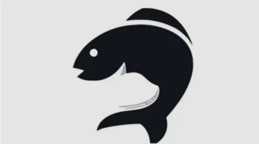 تست توهم نوری | اولین چی دیدی تا بگم راحت میشه بهت دروغ گفت یا زبر و زرنگی