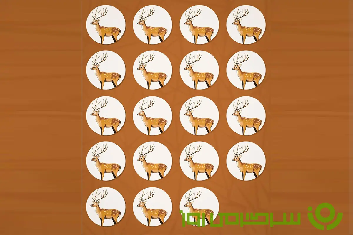 بازی فکری: فقط آدم‌های باهوش این گوزن خاص رو می‌بینن | تو جزوشونی؟