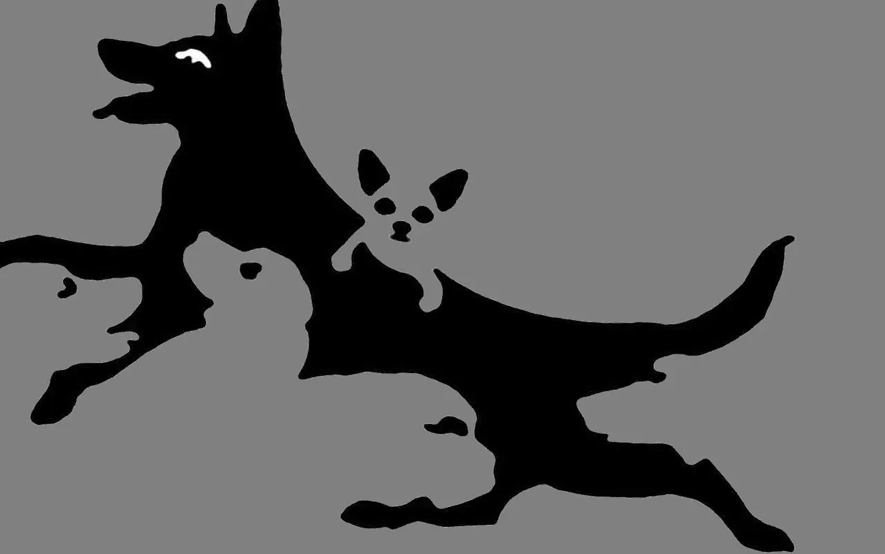 سن روانی شما چند سال هست؟ | با این تست شخصیت سن روانیت و پیدا کن