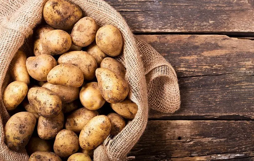 یک عمر اشتباهی سیب زمینی نگه میداشتیم | با این روش دیگه سیب زمینی ها جوونه نمیزنه