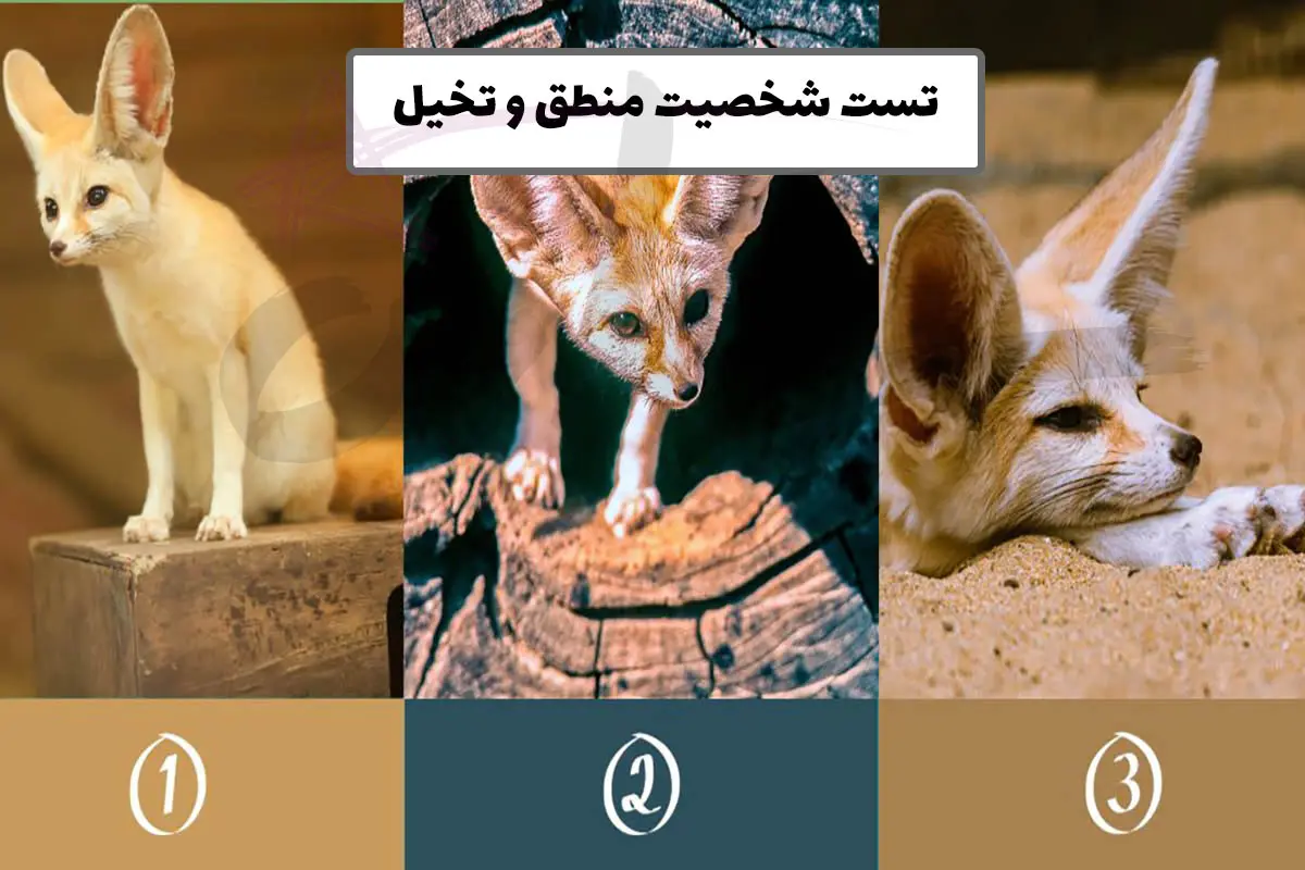 تست شخصیت شناسی | یک روباه انتخاب کن تا بگم تعادل روحی داری یا خیر