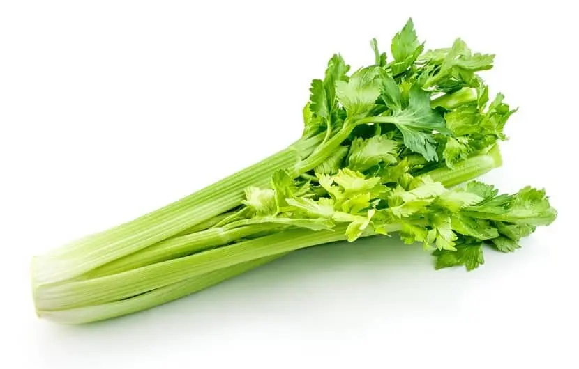  این سبزی درمان کننده فشارخون بالا تا عفونت ادراری  | یکبار مصرف کنید معجزه اش را میبینید