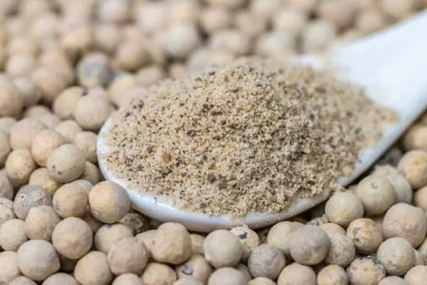 توصیه طب چینی برای استفاده از این نوع فلفل | با این فلفل به جنگ بیماری ها بروید