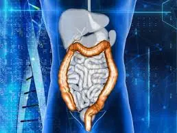 این عادات روده شما رو تار و مار میکند | دور این خوراکی هارو خط قرمز بکشید