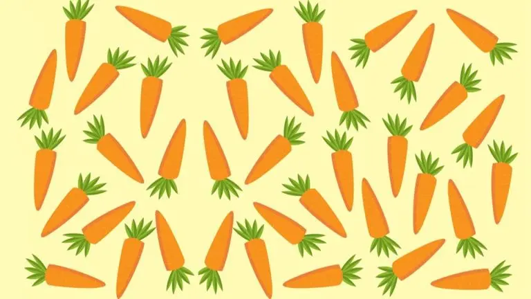 تست هوش و معما | هویج متفاوت رو زیر 5 ثانیه تشخیص بده و نابغه بودنتو ثابت کن