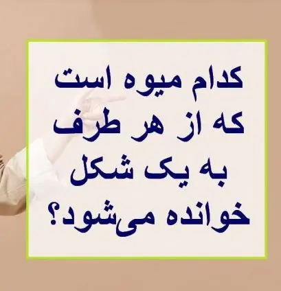 چیستان روز | کدام میوه است که از هر طرف به یک شکل خوانده می‌شود؟