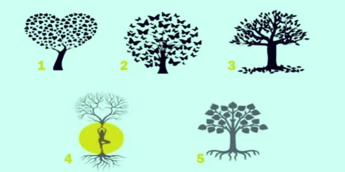 تست شخصیت شناسی | یکی از درختارو انتخاب کن تا بگم اطرافیانت به چی تو حسودی میکنن