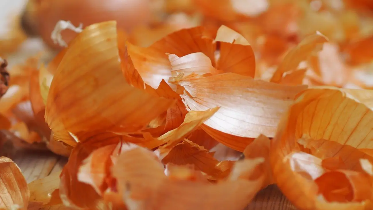 دیگه پوست پیازاتو دور نریز | تمام عمر اشتباه می کردیم پوست پیاز دور می ریختیم