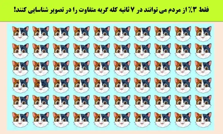 تست هوش | فقط 3 درصد آدما تونستن زیر 7 ثانیه گربه متفاوت رو پیدا کنند
