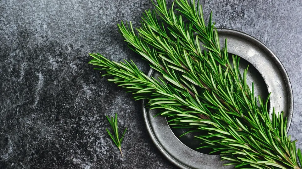 عمرا اگه میدونستی سوزوندن رزماری چه معجزه ای براخونه زندگیت میاره | ترفند جادویی سوزاندن رزماری