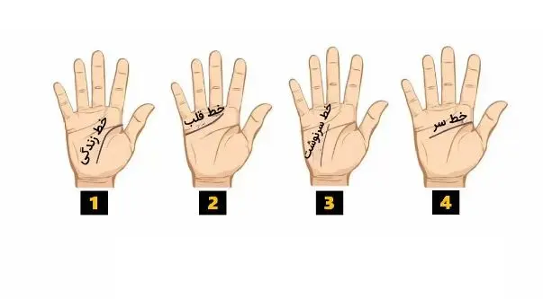 تست شخصیت شناسی | طالع بینی دقیق آینده شما از روی خطوط کف دست + کاملا واقعی و درست