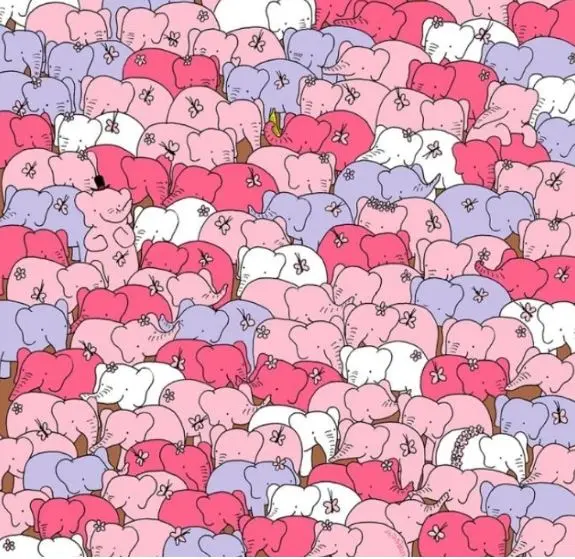 بازی فکری:حتی پزشکان قلب هم اشتباه می‌کردند! فقط نابغه‌ها توانستند قلب پنهان شده در تصویر را در ۵ ثانیه پیدا کنند!