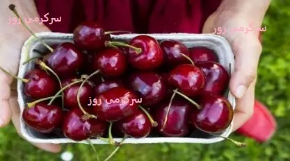 این نوبرانه بهار کنترل کننده قند خون است | این میوه قرمز کوچک دشمن غلظت خون است