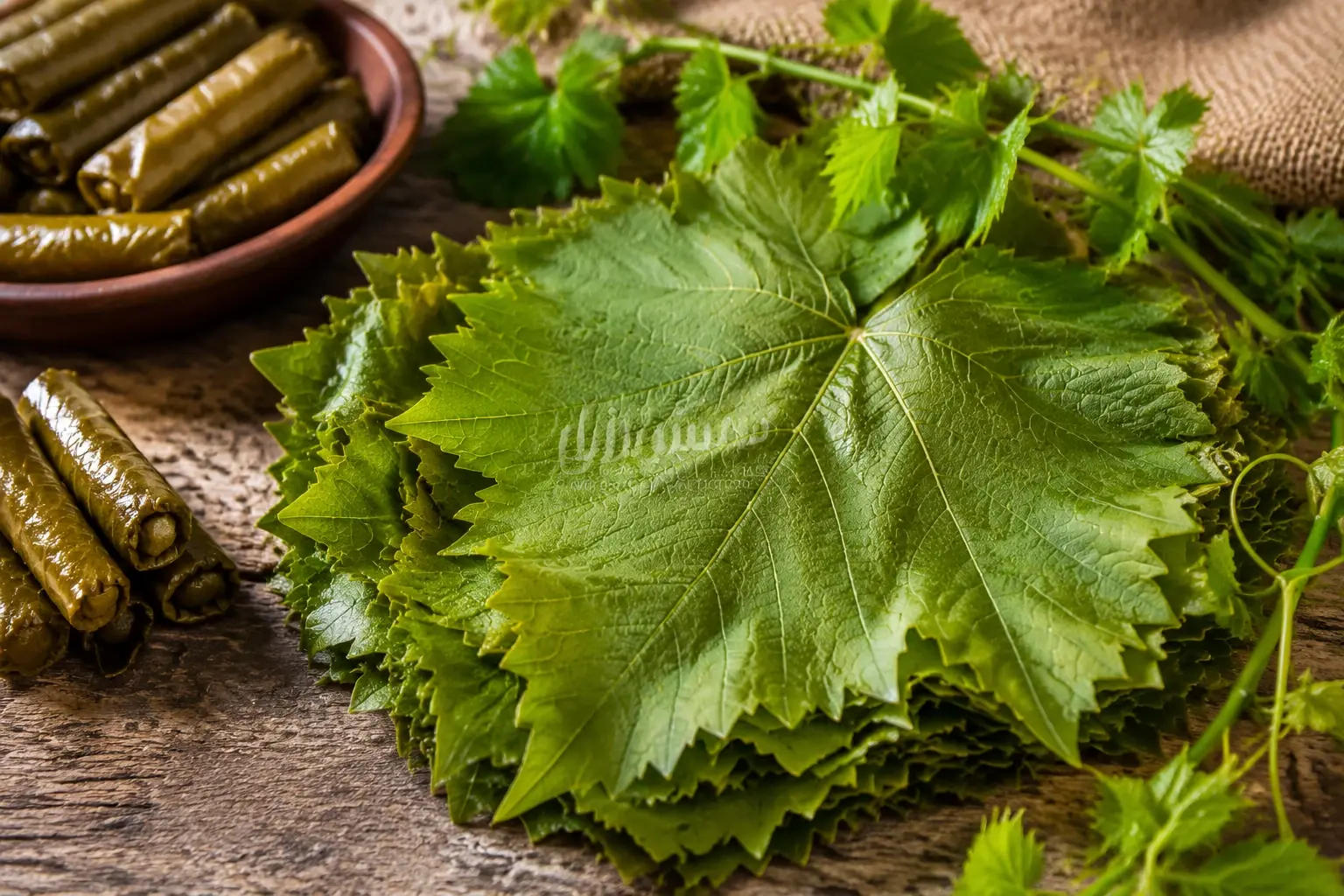 فرق برگ مو با برگ انگور