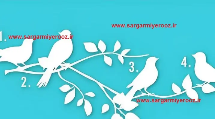 یک پرنده را انتخاب کنید و هدف خود را کشف کنید | تست شخصیت شناسی