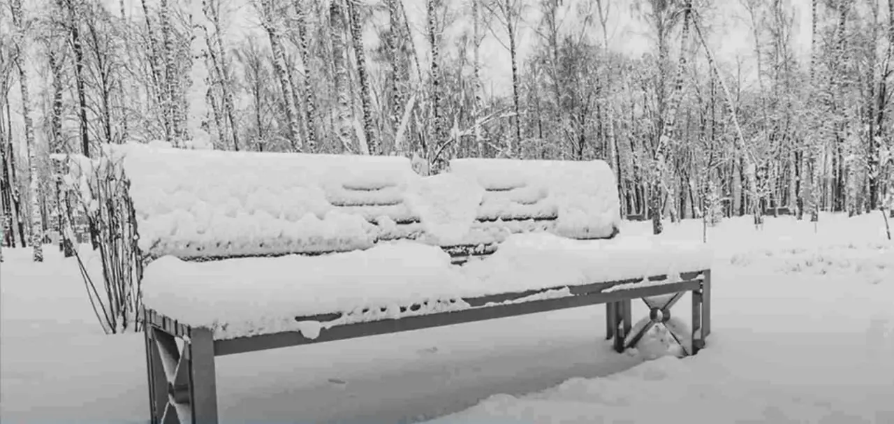 تست هوش | اگه چشمات مثل عقاب تو 7 ثانیه خرگوش و پیدا کن