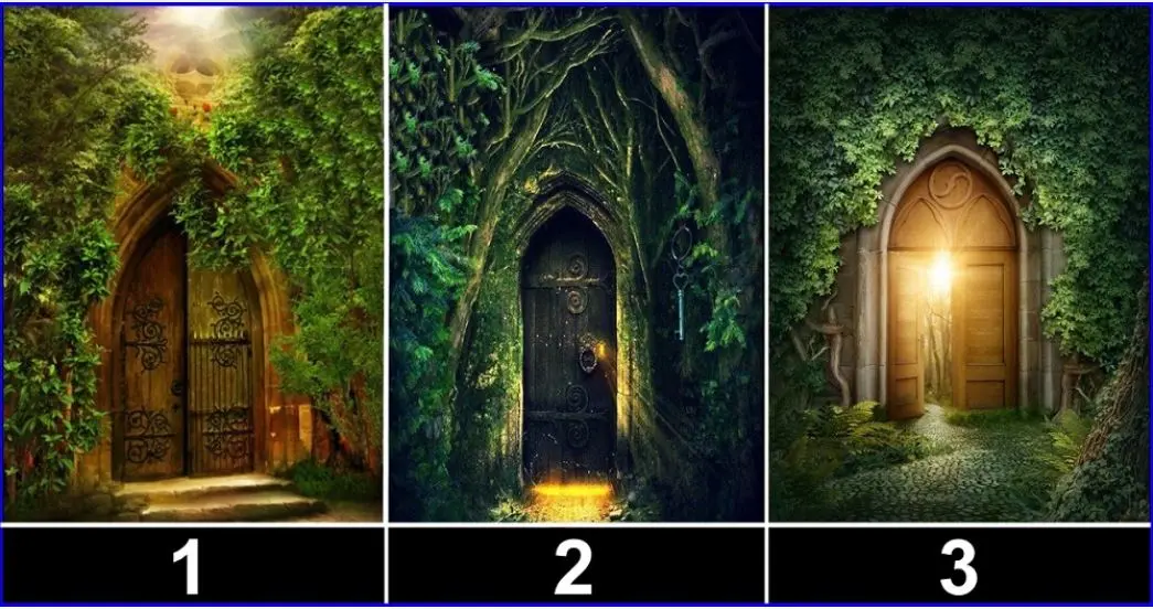 طالع بینی آینده با در سرنوشت | یک در به آینده را انتخاب کنید!
