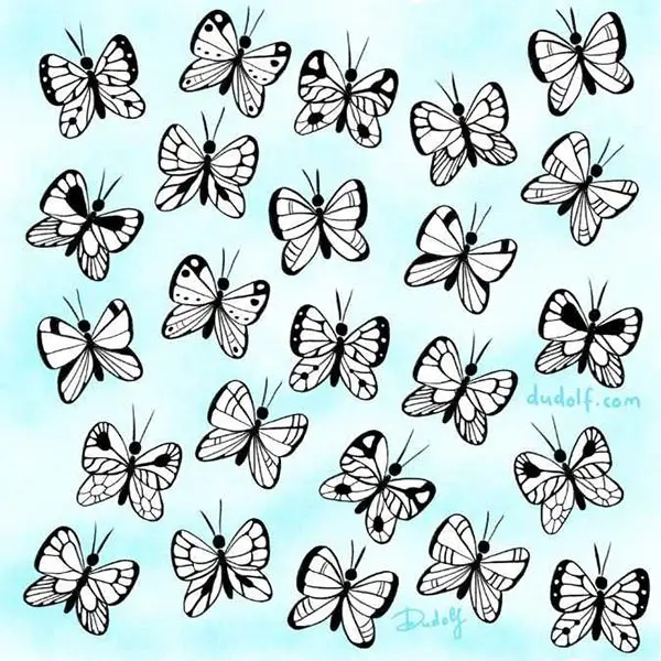 بازی فکری : پروانه متفاوت کدام است؟ اگر چشمان تیزبینی داری تو 10 ثانیه پیدا کنید!