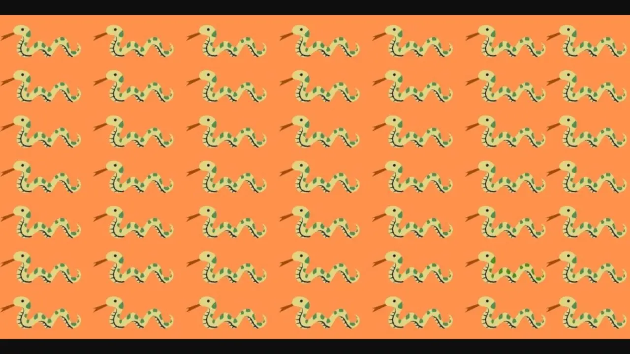 بازی فکری :  نابغه‌های واقعی مار متفاوت را در 6 ثانیه پیدا می‌کنند