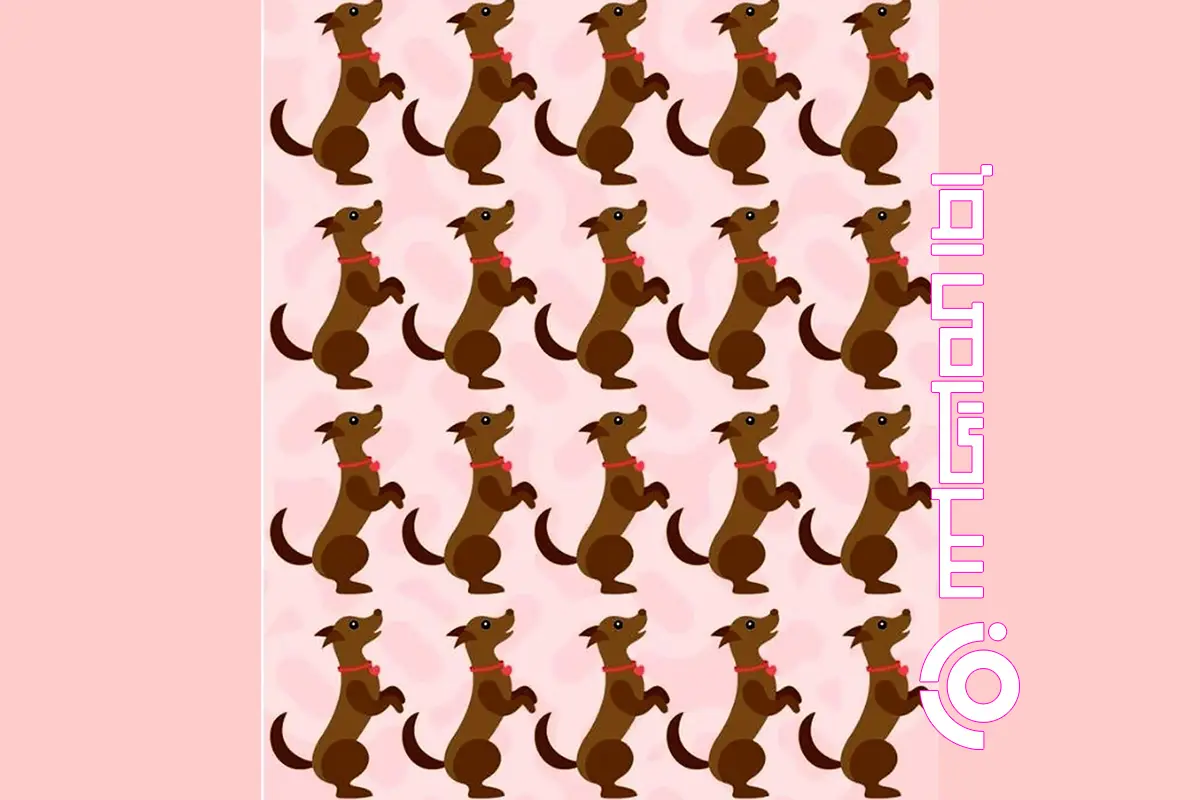 بازی فکری: فقط ابرقدرت‌ها می‌توانند سگ مامور مخفی بازیگوش را در لانه پیدا کنند! شما آماده‌اید؟