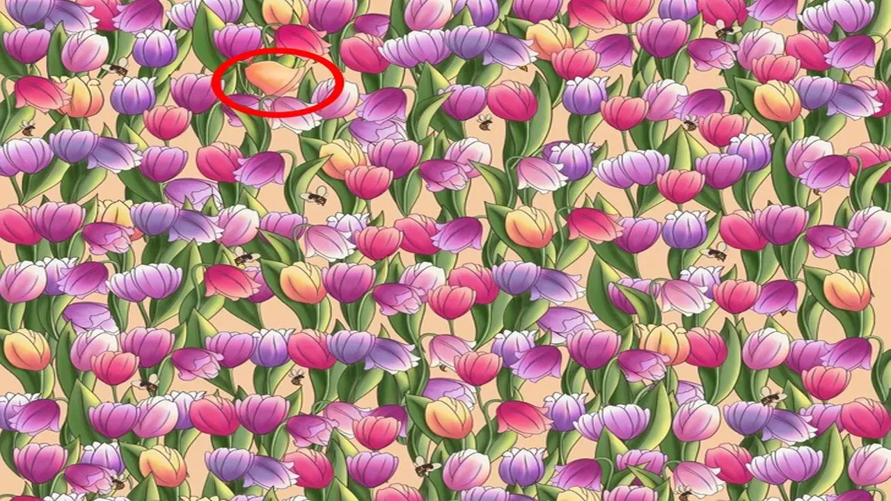 بازی