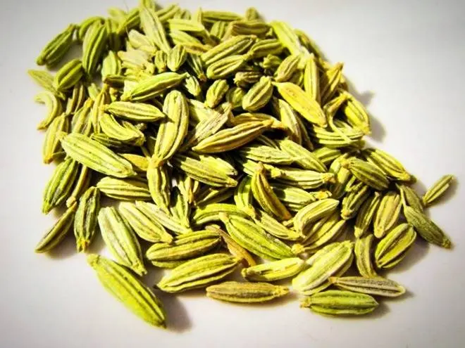 این داروی گیاهی خواص ضد سرطان دارد