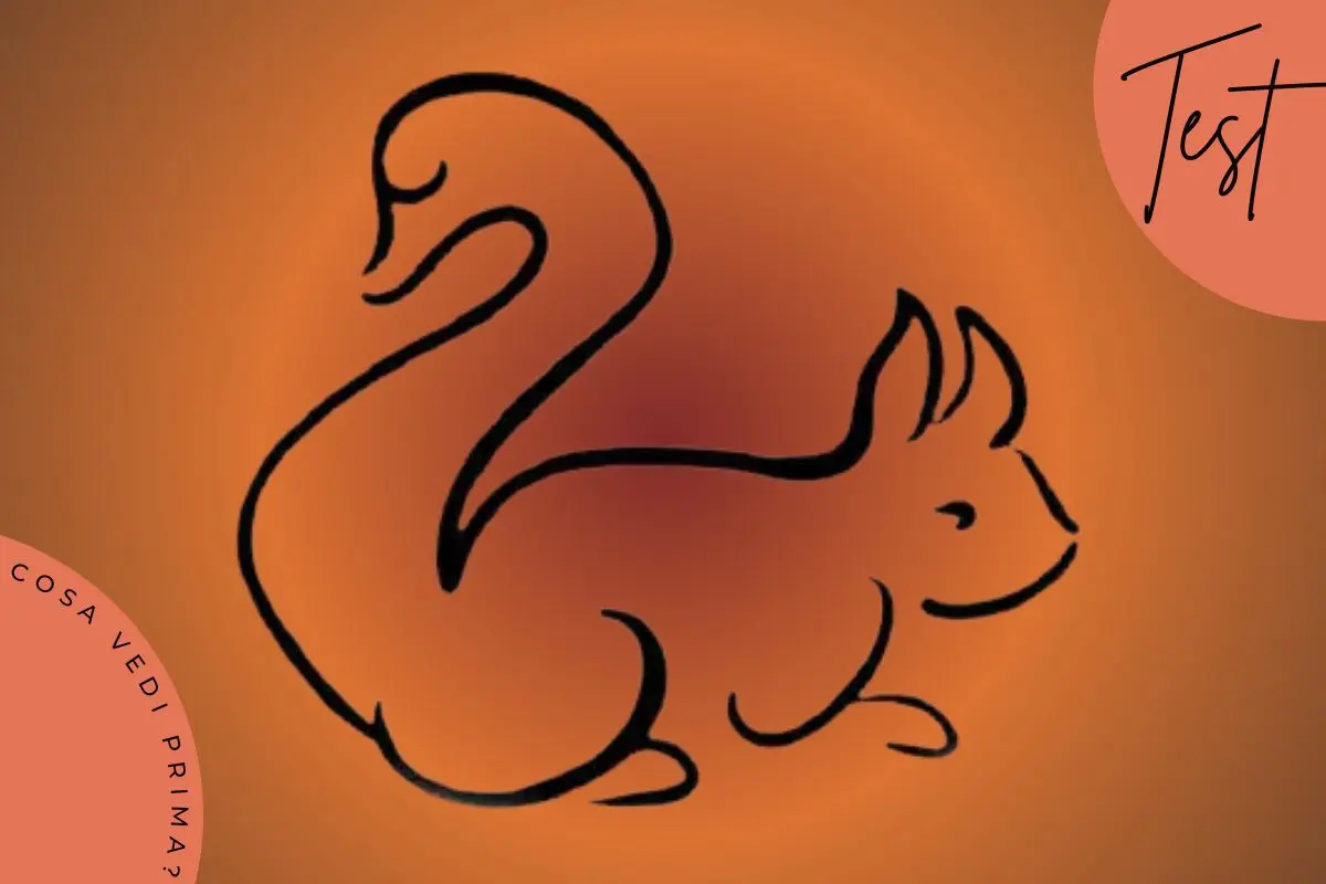 تست شخصیت شناسی | تو عشق و عاشقی خوش شانسی یا بد شانس؟ بکو اول چی دیدی؟