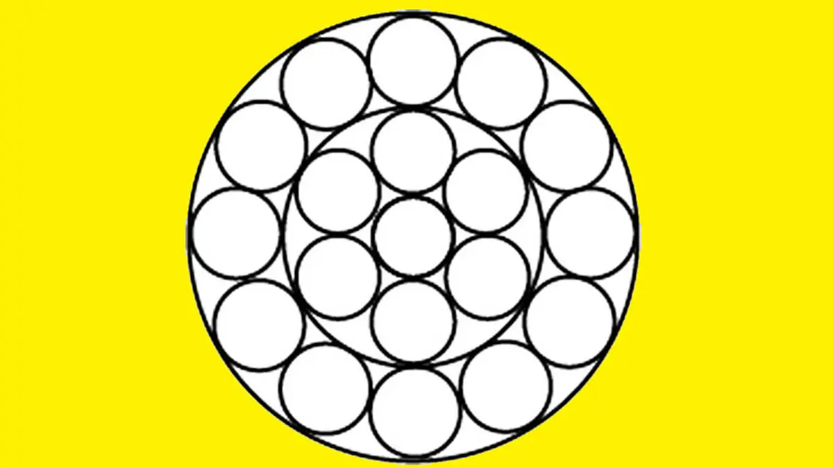 تست هوش | فقط یه نابغه میتواند تعداد دقیق دایره ها را مشخص کند + پاسخ تست