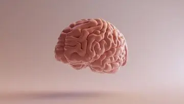 بمب‌های ویتامینی برای تقویت مغز! | با این مواد غذایی هرگز آلزایمر نمی‌گیرید