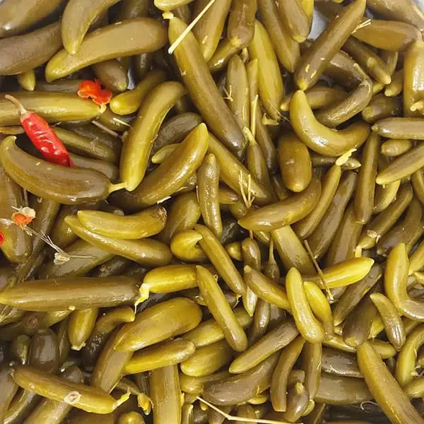 فرمول جادویی درست کردن خیارشور ترد بدون کپک زدن | طرز تهیه خیارشور ترد تو یک چشم بهم زدن 