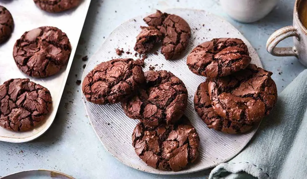 طرز تهیه کوکی شکلاتی نرم و ساده در کمترین زمان