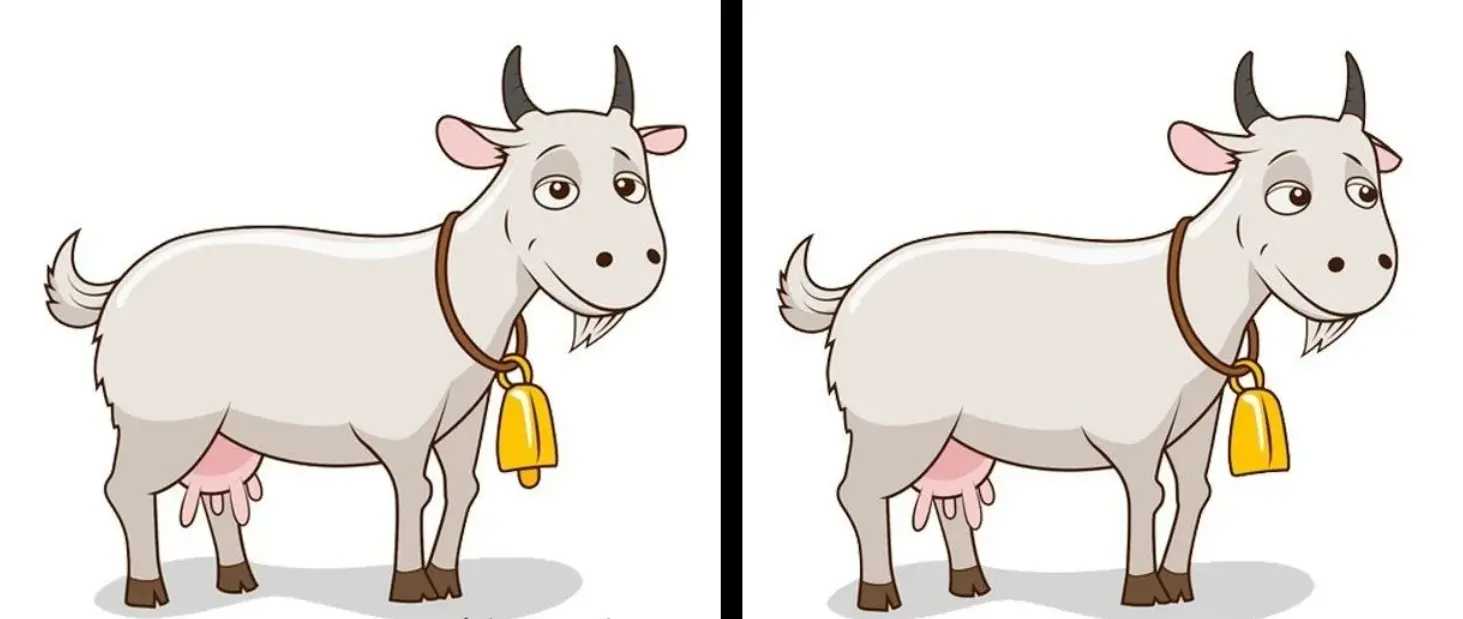 بازی فکری : فقط اونایی که چشماشون 10/10 هست تو 7 ثانیه 3 تا تفاوت و پیدا می کنند!