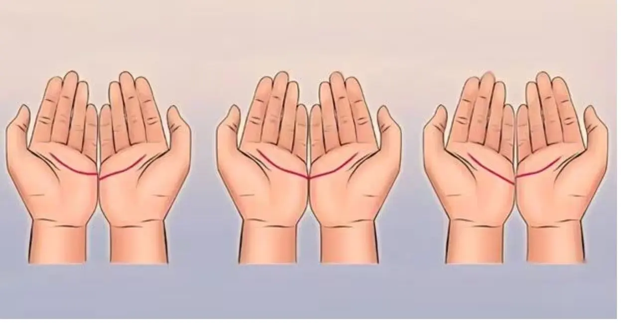 تست شخصیت شناسی | خطوط  کف دستان شما عشق زندگی شما را آشکار می کند