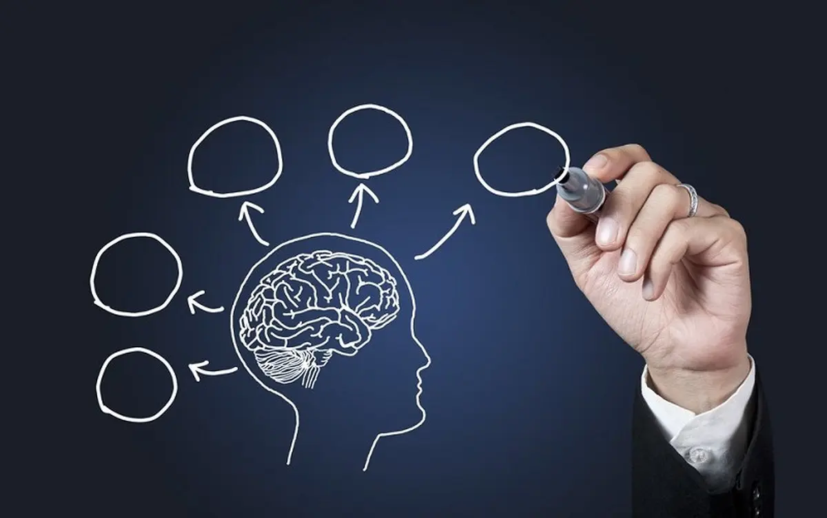 این خوراکی پرطرفدار باعث کوچک شدن مغز، کم شدن هوش و خنگی می شود