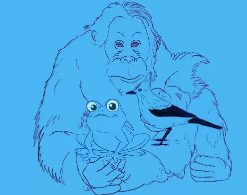 تست شخصیت شناسی | بگو اول چه حیوانی را دیدی تا بگم چقدر مکار و فریبکاری