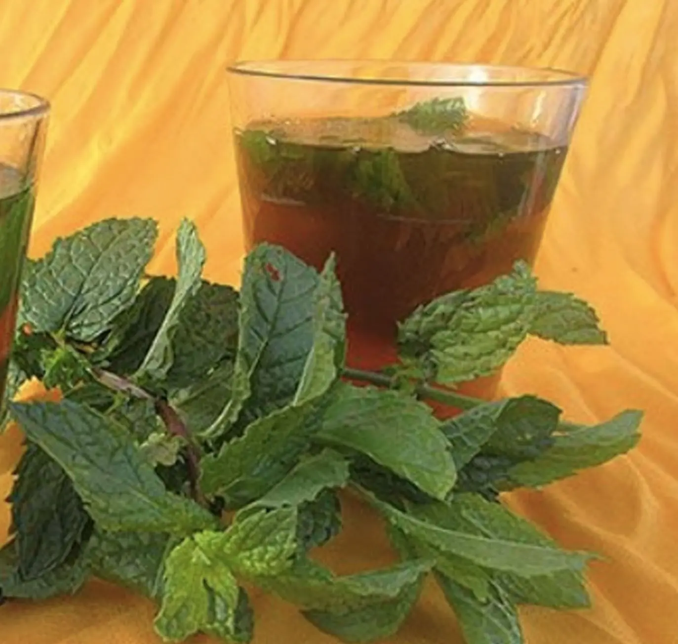 با این دمنوش کبد خود را تر و تازه کنید | صفرشویی کبد با این دمنوش معجزه آسا