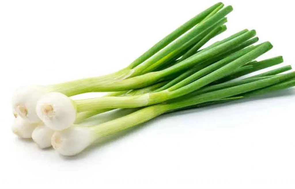 کنار غذا این سبزی را بخورید و از دیابت و قند خون فرار کنید / 120 سال بدون بیماری