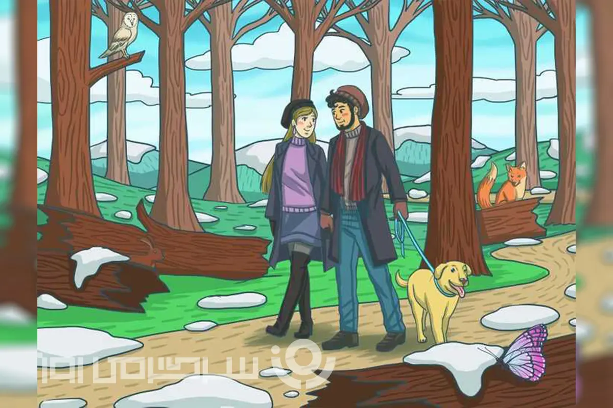 بازی فکری: فقط نابغه ها تو ۷ ثانیه خرگوش و پیدا میکنند!