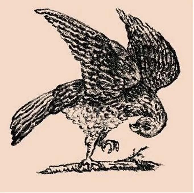 تست هوش | فقط 2٪ از افراد با ذهن برتر می توانند این معما را حل کنند