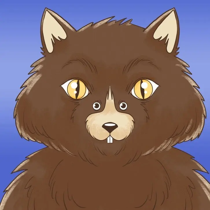 تست شخصیت شناسی | بگو اول چی دیدی تا بگم مثل یک موش ترسو یا مثل یک گربه مستقل و خفنی