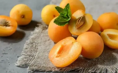 فشار خونتان بالاست؟ این میوه تابستانی را بخورید!