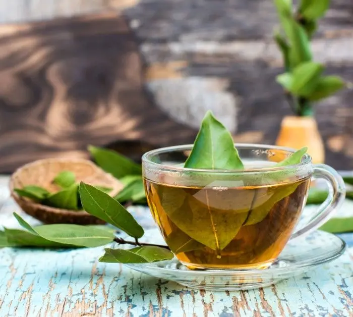 پزشکان شوکه شدند؛ تأثیر شگفت‌انگیز مصرف این گیاه به صورت ناشتا