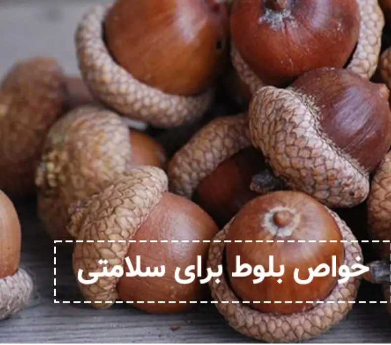 تنبلی تخمدان و نظم دادن به دوران قاعدگی با این میوه کوچولو و مقوی