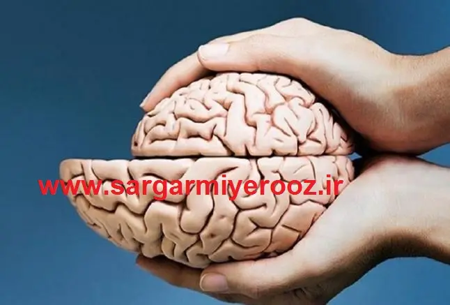 سم زدایی از مغز با 3 راهکار طبیعی و آسان